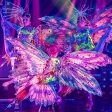 Танцевальный перфоманс «Бабочки» от шоу «Бионика»