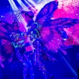 Butterflies Performance